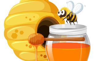 Gesundes Grün – Honig aus der Mark Brandenburg